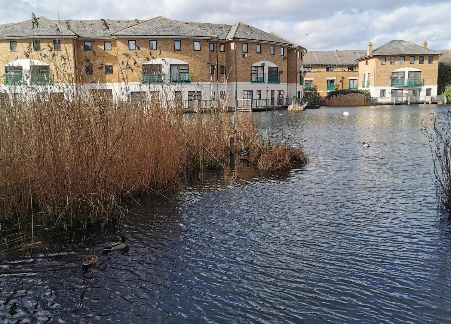 Riverside 3Br With Easy Transport 20Mins To City Centre London